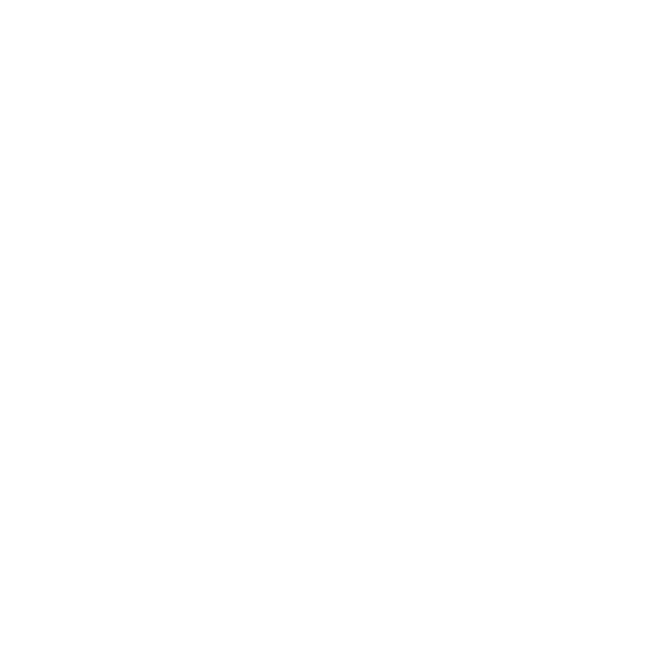 white-bodywork
